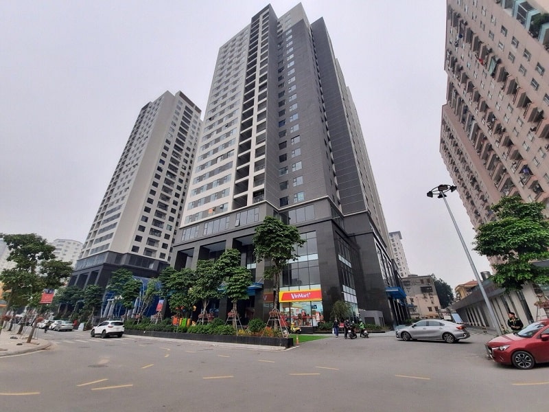 Thông tin tổng quan về dự án căn hộ Việt Đức Complex